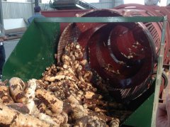 Teknologi-mesin-memproses-lambung-untuk-produksi-lambung-kassava