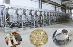 Proyek kontrak umum pabrik pengolahan tepung singkong Tanzania